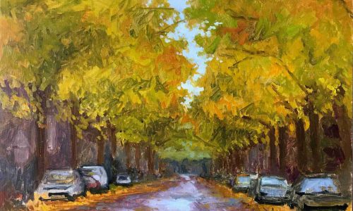 Maaike van Veen - Koepoortsweg
